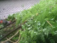 Sturm3.webp
