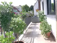 DSCN0978.webp
