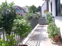 DSCN0979.webp