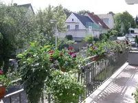 DSCN0980.webp