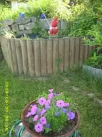 bild 5.webp