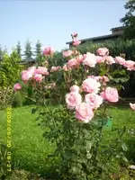 bild 10.webp