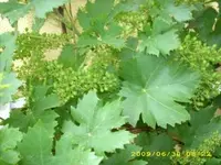 bild 8.webp