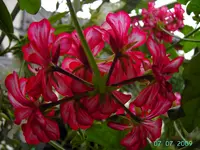 PICT3804.webp