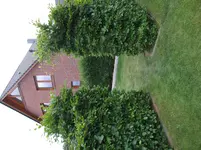 Buchentor 09.webp