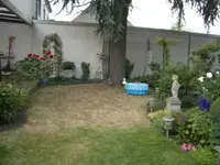 IMGP1934.webp