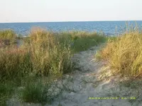 Dünen.webp