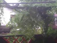 Sturm6.webp