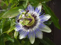 CIMG6177.webp