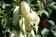 Img_0615 klein.webp