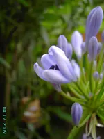 PICT3924.webp