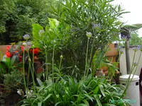 PICT3919.webp