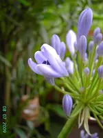 PICT3922.webp