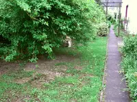 RS_vorher.webp