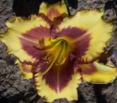 ak07_20_09.webp
