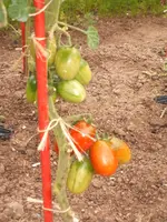 DSCF3187.webp