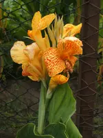 DSCF3188.webp