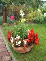 DSCF3189.webp