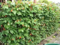 DSCF3192.webp