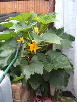 DSCF3193.webp