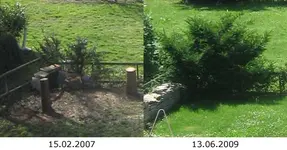 eibe.webp