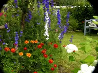 2009  Garten -7-2 093.webp