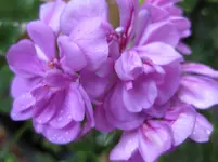 025.webp