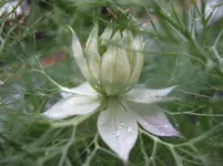 032.webp