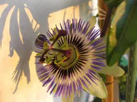 013.webp