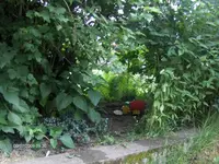 HPIM2678.webp