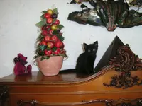 R0011400.webp