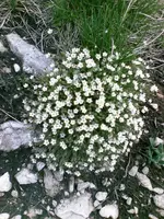 D1000026.webp