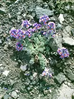 D1000048.webp
