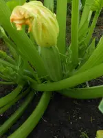 DSCN2699.webp