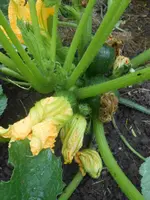 DSCN2697.webp