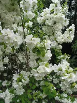 012.webp