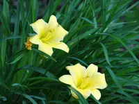 DSC01810.webp