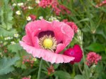 DSCN9198.jpg