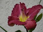 DSC01818.jpg