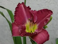 DSC01814.webp