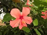 Bilda056.webp