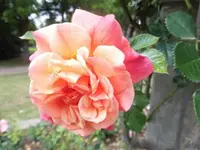 Bilda031.webp