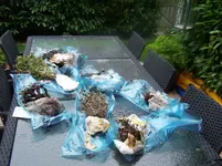 100_4046.webp