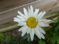 P1440551.webp