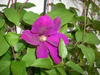 DSCI3466.webp