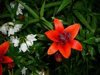 DSCI3468.webp