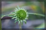 comp_DSC03828.jpg