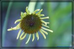 comp_DSC03829.jpg