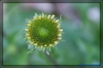 comp_DSC03831.jpg