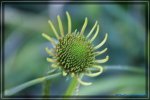 comp_DSC03832.jpg